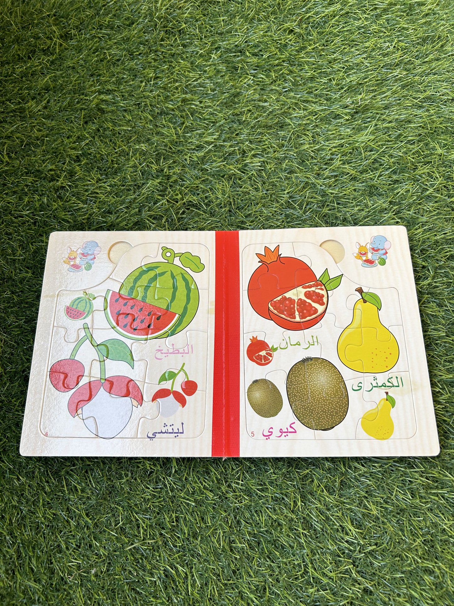 Animals/Fruits/ Transportation Puzzles Book