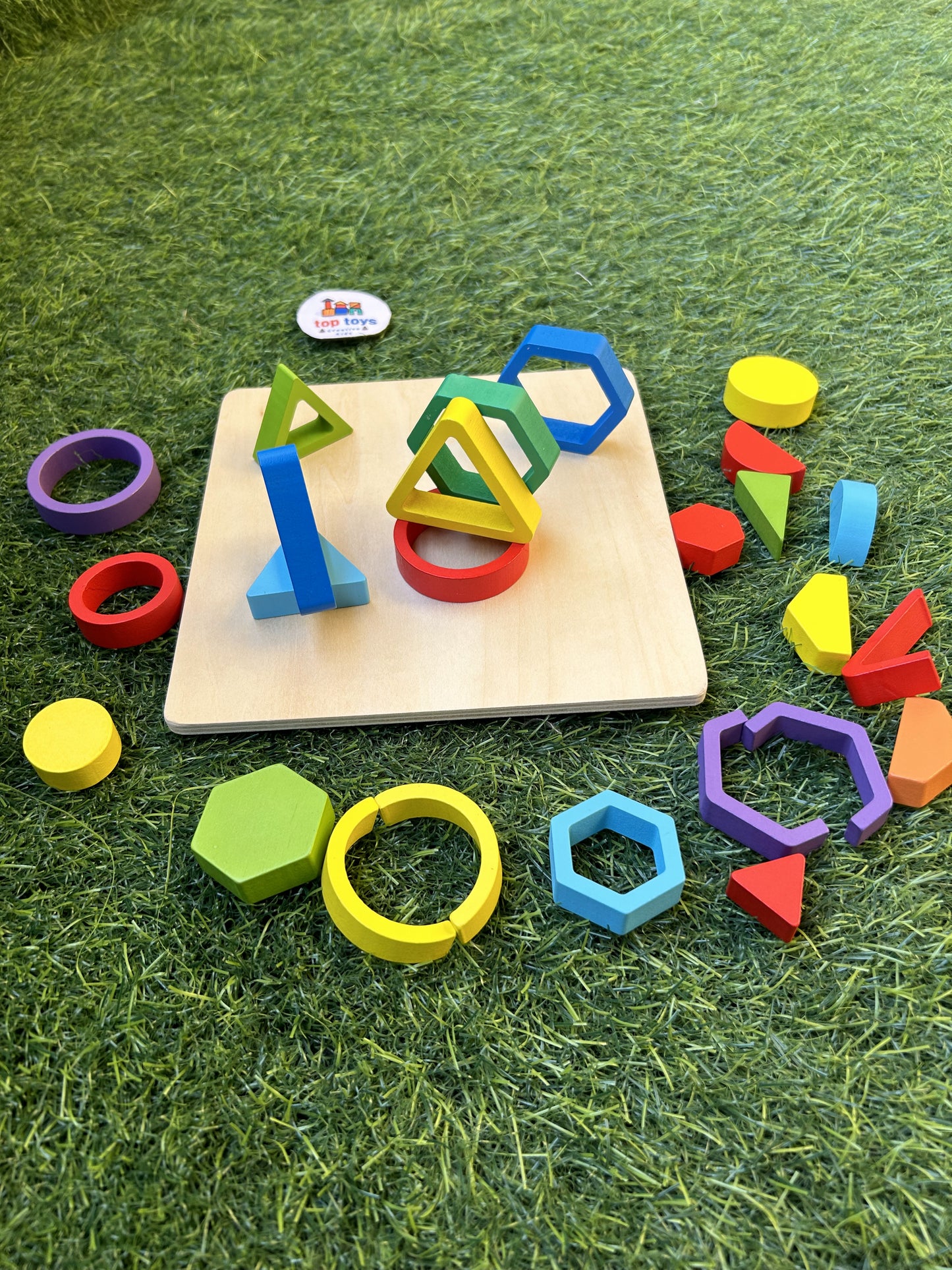 Geometry Shapes Board Pieces