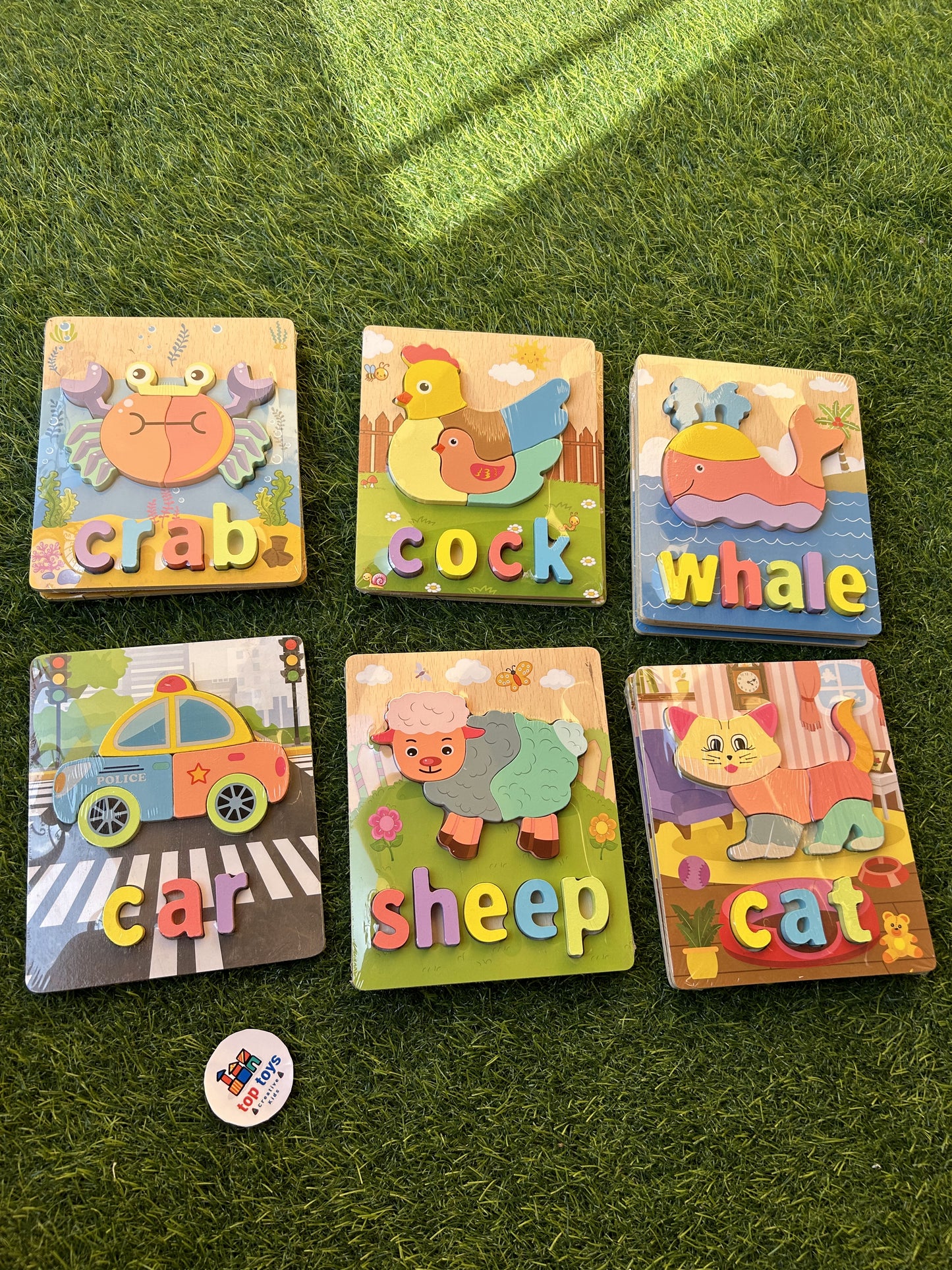 Wooden Puzzle Shapes with Names